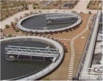 ZBXN型週邊傳動(dong)半橋虹(hong)吸式吸泥機